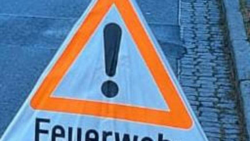 H1 Baum über Fahrbahn