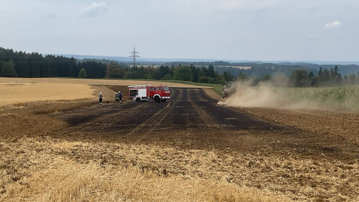 Vegetationsbrand Groß